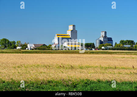 Il vecchio stile elevatori della granella nella tarda estate, Tuxford, Saskatchewan, Canada Foto Stock