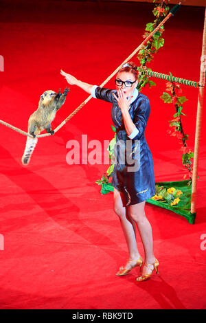 Nasough nel circus. Piccolo roditore rendendo trucchi su corda e bella tamer. Animale femmina trainer nasough formazione Foto Stock