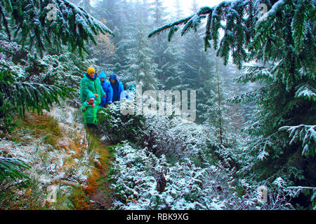 Gruppo di turisti in tute impermeabili per escursioni in montagna. Concetto di viaggio. Persone che viaggiano attraverso la foresta e la montagna. Chi viaggia in famiglia. Una fitta foresta. Foto Stock