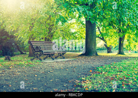 Lonely banco sotto la struttura ad albero nel parco. Messa a fuoco selettiva, spazio di copia Foto Stock