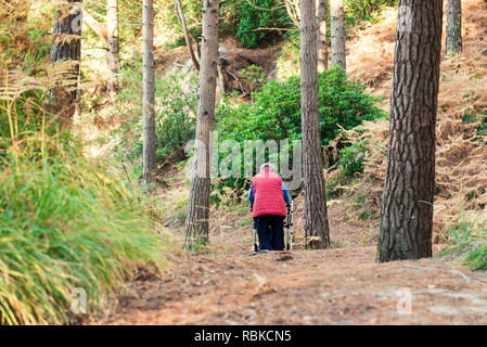 Vista posteriore disabilitato da solo le donne più anziane persona con walker durante il suo cammino nella foresta, parco. Messa a fuoco selettiva, spazio di copia Foto Stock