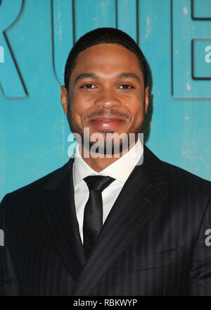 Los Angeles, Ca, Stati Uniti d'America. Decimo gen, 2019. Ray Fisher, presso il Los Angeles Premiere di HBO vero detective Stagione 3 al Directors Guild of America a Los Angeles, la California il 10 gennaio 2019. Credito: Faye Sadou/media/punzone Alamy Live News Foto Stock