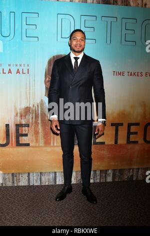 Los Angeles, CA, Stati Uniti d'America. Decimo gen, 2019. Ray Fisher presso gli arrivi per vero detective stagione tre Premiere, DGA New York Theatre, Los Angeles, CA 10 gennaio 2019. Credito: Priscilla concedere/Everett raccolta/Alamy Live News Foto Stock