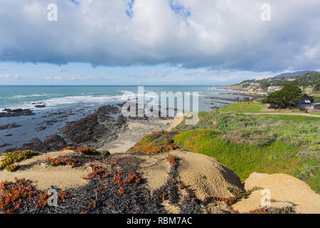 Vista verso la Fitzgerald riserva marina a bassa marea dal percorso sulle scogliere, Moss Beach, California Foto Stock