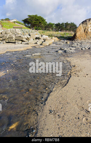 Creek che scorre nell'Oceano Pacifico con la bassa marea, Moss Beach, Fitzgerald riserva marina, California Foto Stock