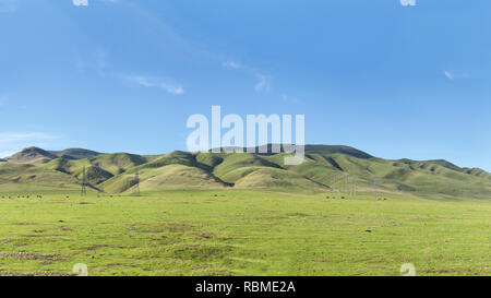 Panoramica della valle centrale Hills in California dopo le recenti piogge, verdi campi e colline con le mucche al pascolo sotto potenza linee che corrono attraverso la vall Foto Stock