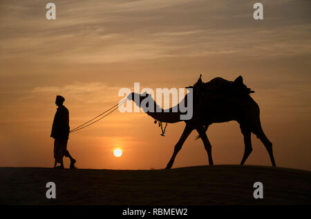 I cammelli e custodi, Jaisalmer, Rajasthan, India, Asia Foto Stock