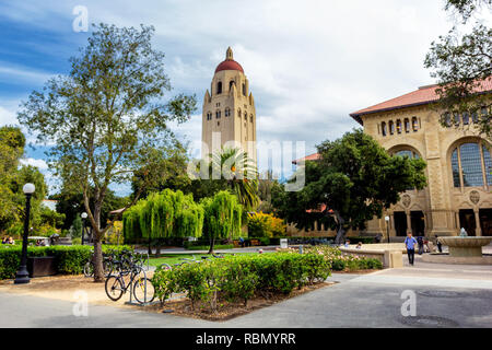 PALO ALTO, USA - Ottobre 2013: Hoover tower e alberi verdi a Stanford University campus Foto Stock