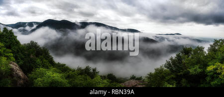 Nebbia di mattina presso la montagna Rhodore, Bulgaria Foto Stock