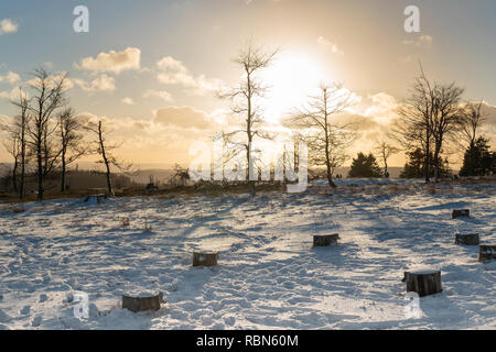 In un giorno d'inverno, la neve copre il heather. Nella parte superiore della Kahler Asten avete una bella vista. Il sole tramonta e mette in risalto la silhouette di nodosi Foto Stock