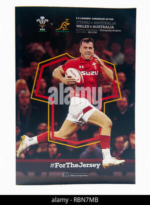 Programma per il Galles v Australia al Principato Stadium Cardiff Foto Stock