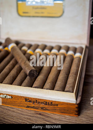 Astuccio per sigari Cohiba contenente Esplendios sigari, fatta a mano in Cuba Foto Stock