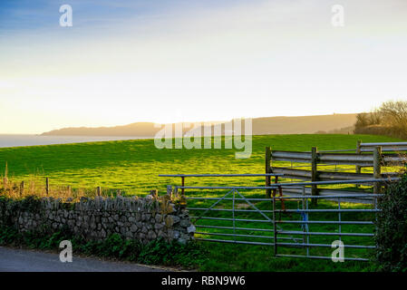 Nel tardo pomeriggio soleggiato, vista sui campi di Start Bay fino al punto di partenza e al faro. Torcross, Devon. REGNO UNITO Foto Stock