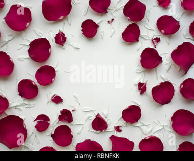 Petalo di Rosa fiori con copia spazio su uno sfondo bianco.Flat laici. Valentines,l'amore e il concetto di matrimonio idee Foto Stock