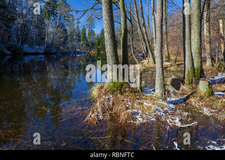 Warmia e Mazury, il fiume Wadąg, Polonia Foto Stock