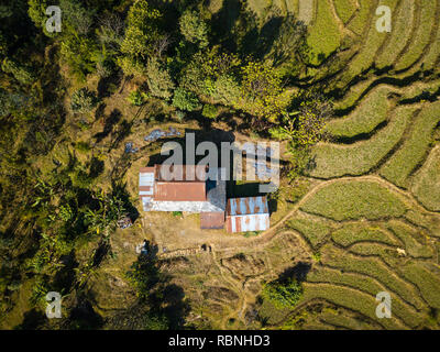 Vista aerea di una casa tra le risaie e gli alberi in Nepal Foto Stock