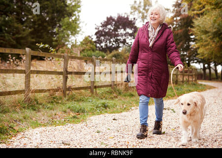 Attiva donna Senior in autunno a piedi con il cane sul percorso attraverso la campagna Foto Stock