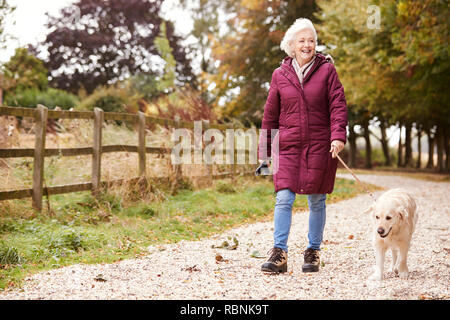 Attiva donna Senior in autunno a piedi con il cane sul percorso attraverso la campagna Foto Stock