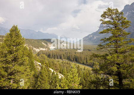 Vista sul fiume nella boscosa valle tra le montagne in Alaska Foto Stock