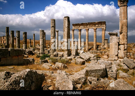 Colonne di Traiano, città romana Apamea. Siria, Medio Oriente Foto Stock