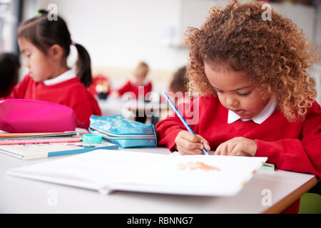 Razza mista schoolgirl indossano uniformi scolastiche seduti ad una scrivania in un bambino a scuola di disegno in aula, close up Foto Stock