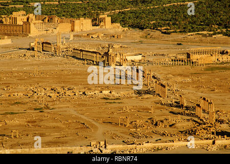 Le rovine della vecchia Greco città romana di Palmyra. Siria, Medio Oriente Foto Stock