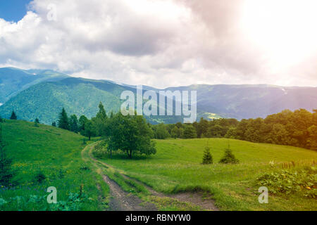 Ampia tranquillo paesaggio estivo. Campo vuoto road stretching all orizzonte attraverso il verde prato erboso e alberi illuminati da sole verso montagne distanti cove Foto Stock