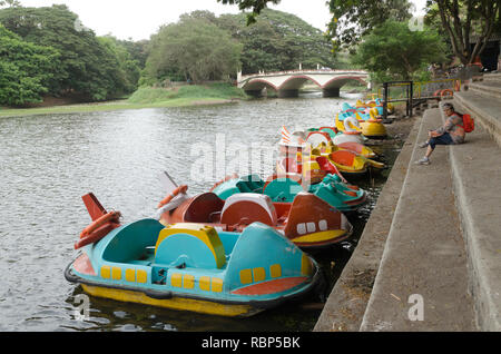 Barche a remi nel Parco Nazionale di Sanjay Gandhi, Mumbai, Maharashtra, India, Asia Foto Stock