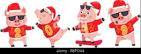 2019 anno del maiale. I suini con numeri di 2019 su sfondo bianco. Illustrazione Vettoriale