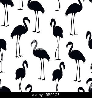 Flamingo isolato. Uccelli esotici. Flamingo silhouette, illustrazioni. Flamingo pattern senza giunture Illustrazione Vettoriale