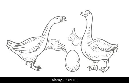 Due oche, uovo di oca schizzo, cartoon funny goose isolati su sfondo bianco, oca natura domestica carattere, pollame Illustrazione Vettoriale