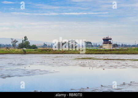Marsh in baylands park, la torre di controllo in background, Palo Alto, San Francisco Bay Area, California Foto Stock