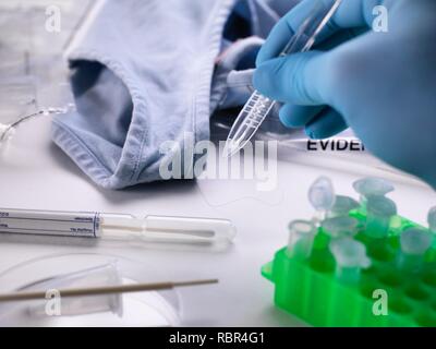 Lo scienziato forense prendendo un campione di capelli per il test del DNA (acido desossiribonucleico) da capi di abbigliamento da una scena del crimine. Foto Stock