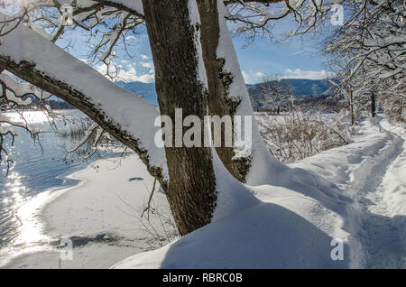 La nevicata sul lago Tegernsee Foto Stock