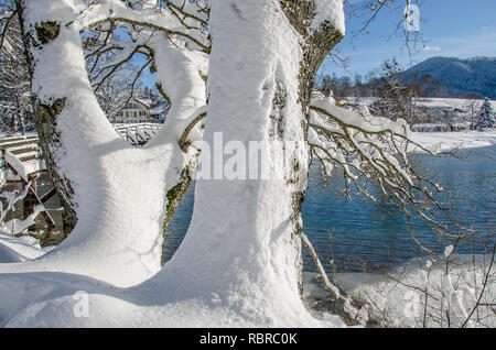 La nevicata sul lago Tegernsee Foto Stock