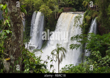 Le incredibili Cascate di Iguazu in Brasile e Argentina. Iguazu River Foto Stock