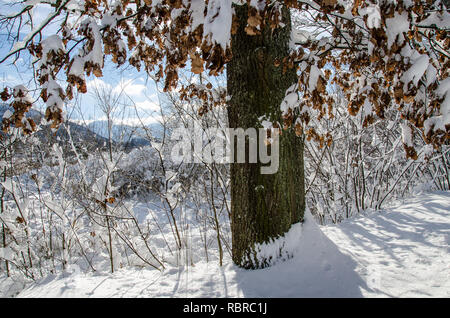 La nevicata sul lago Tegernsee Foto Stock