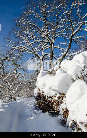 La nevicata sul lago Tegernsee Foto Stock