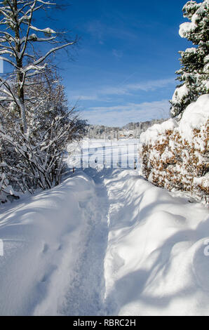 La nevicata sul lago Tegernsee Foto Stock