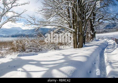 La nevicata sul lago Tegernsee Foto Stock