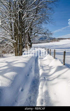 La nevicata sul lago Tegernsee Foto Stock