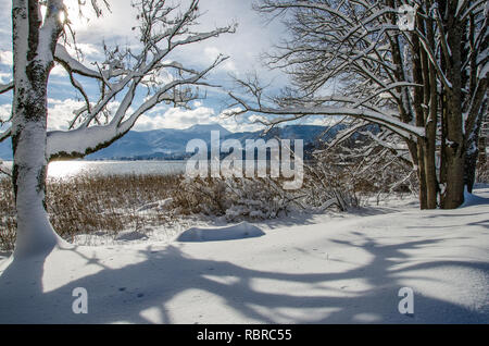 La nevicata sul lago Tegernsee Foto Stock