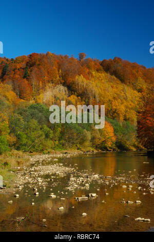 Bella autunno nella valle di San. Otryt Mountain Range. Monti Bieszczady. Polnad. Foto Stock