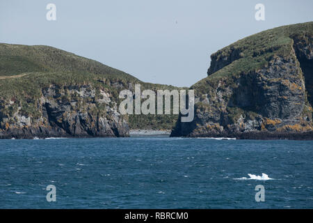 Georgia del Sud, re Haakon Bay, grotta Cove. Area dove il James Caird atterrato dopo Shackletonâ€™s epic tentativo di salvataggio da Elephant Island nel maggio 1916 Foto Stock