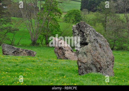 Stanton Drew circoli di pietra. Vi sono tre circoli di pietra nei pressi del villaggio di Stanton Drew nel Somerset. Il grande cerchio, a 113 metri .di dia. Foto Stock