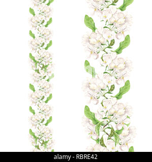 Apple fiori rosa. Senza cuciture bordo floreale. Botanical acquarello dipinto di bordatura. Foto Stock