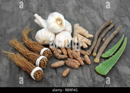 Cibo Adaptogen selezione con erbe e spezie. Utilizzato in medicina di erbe per aiutare il corpo a resistere al danneggiamento per effetto di sollecitazioni. Foto Stock