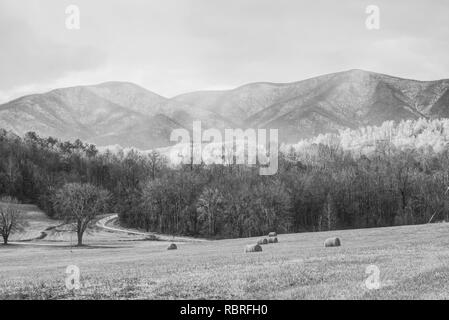 Robusto Appalachian picchi dietro il campo di fieno in bianco e nero Foto Stock