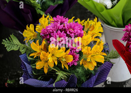 Bouquet gigli gialli e viola crisantemi, avvolto in un pacchetto decorativo con una stampa Foto Stock