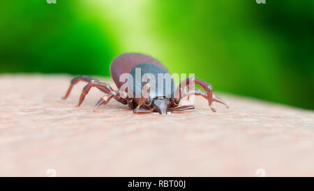 Illustrazione di un segno di spunta di mordere. Foto Stock